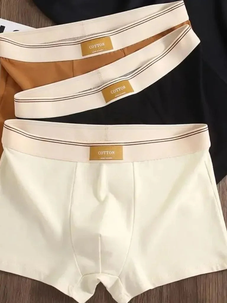 product_31432213070013.webp