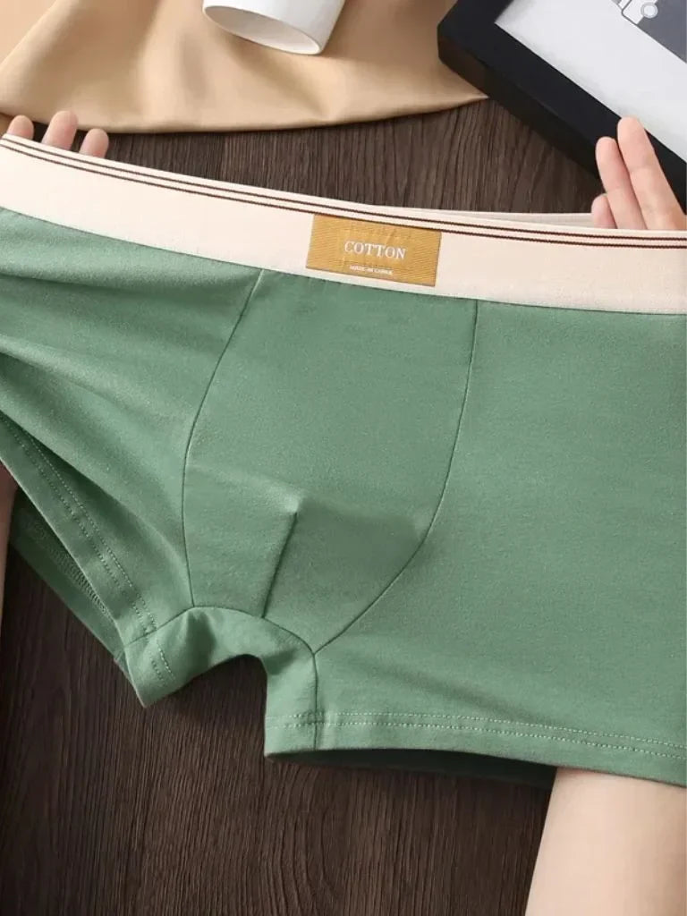 product_31432213233853.webp